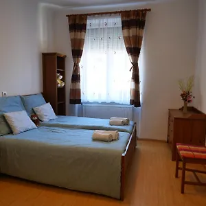 Begonia Budapest