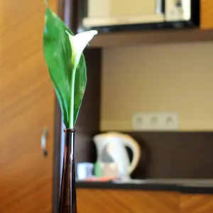 Residencia Baron Hotel