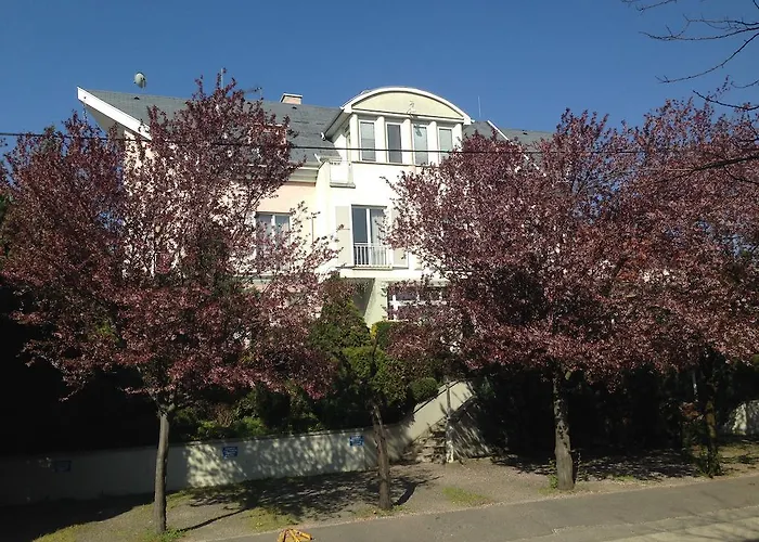 Belle Fleur Panzio Bed & Breakfast Budapeşte fotoğrafı