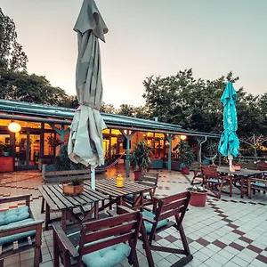 Island Hostel *