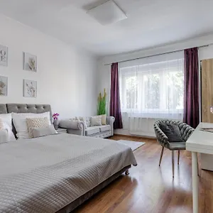 Apartment B2 Big King *