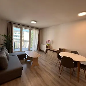 Modern With Garage Apartment