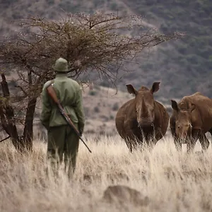 Elewana Lewa Safari Camp 4* Timau