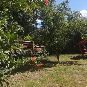 Guest house Rakos-patak Family House *