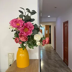 Hostel Center And