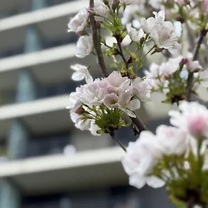 Japandi Apartment, Free Parking Apartment